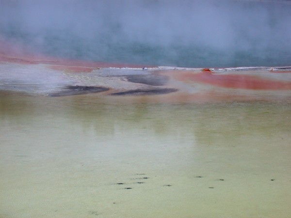 The Champagne Pool